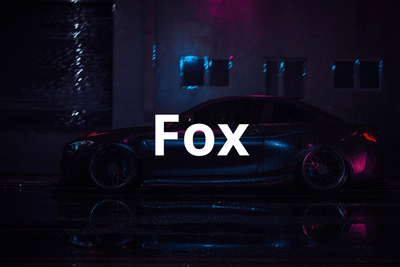 VK Fox
